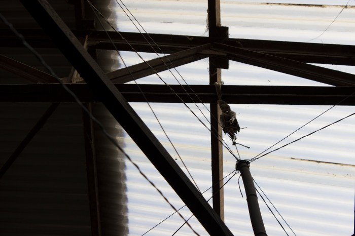 PER DANCEHOUSE | ANNO 2013 |PERFORMANCE