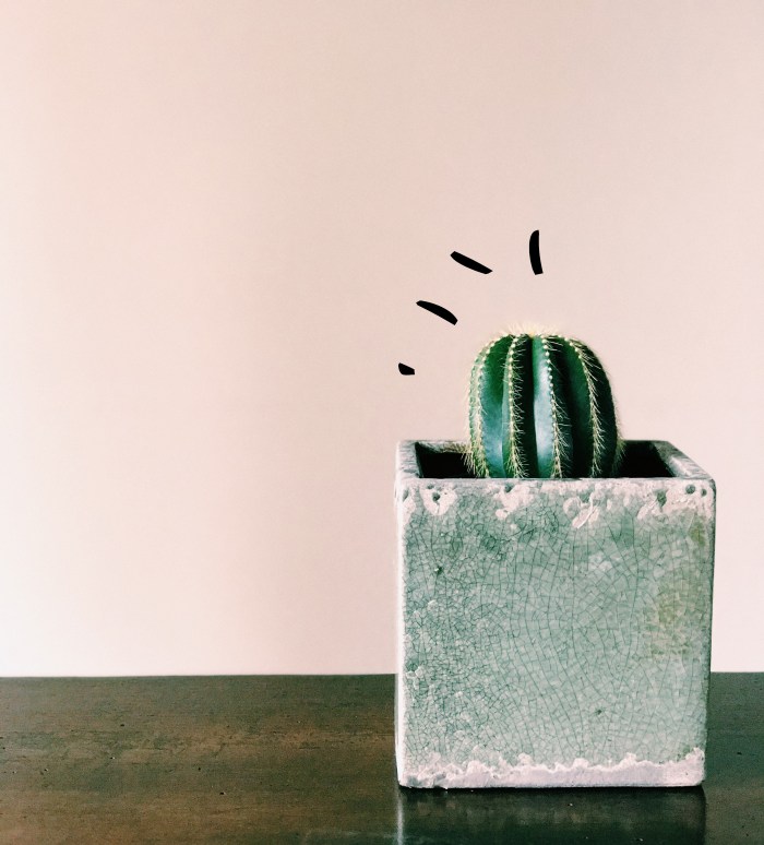 Processed with VSCO with c1 preset